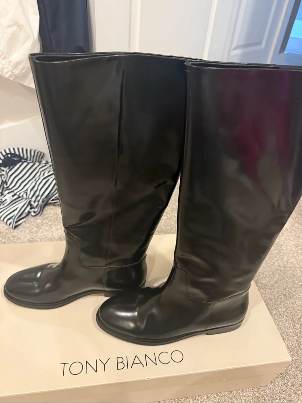 Tony Bianco Hi Gloss Grange Riding Boots